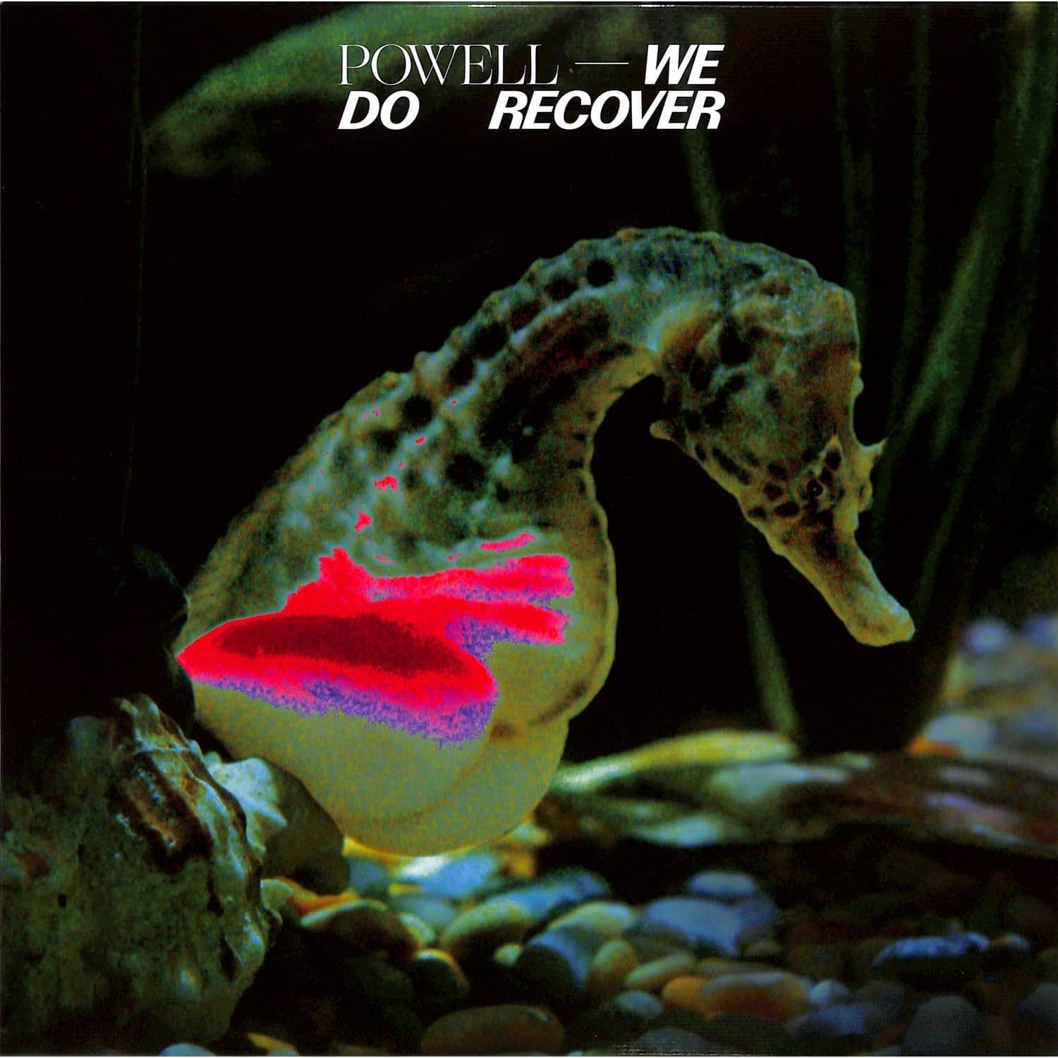 Powell - WE DO RECOVER