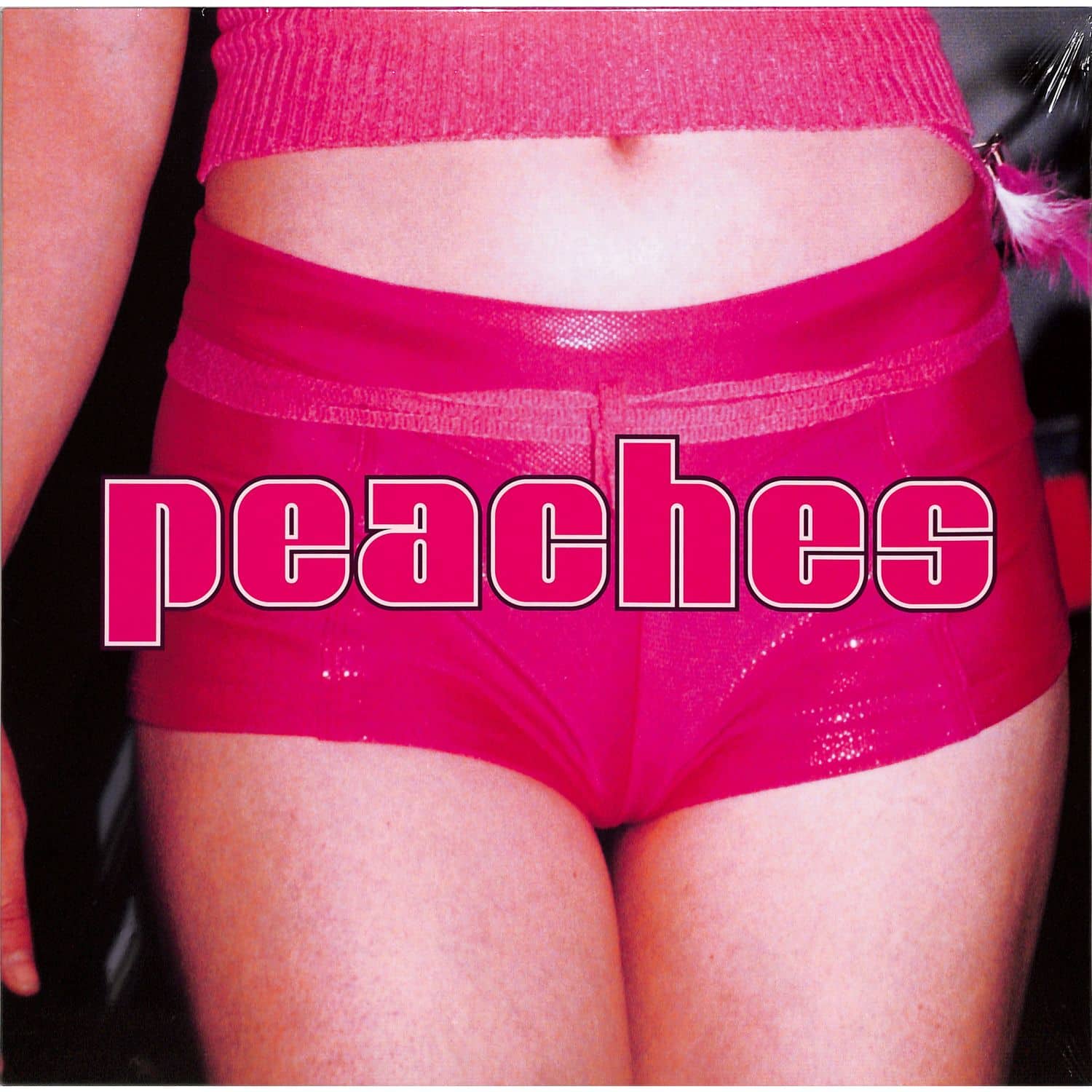 Peaches - THE TEACHES OF PEACHES