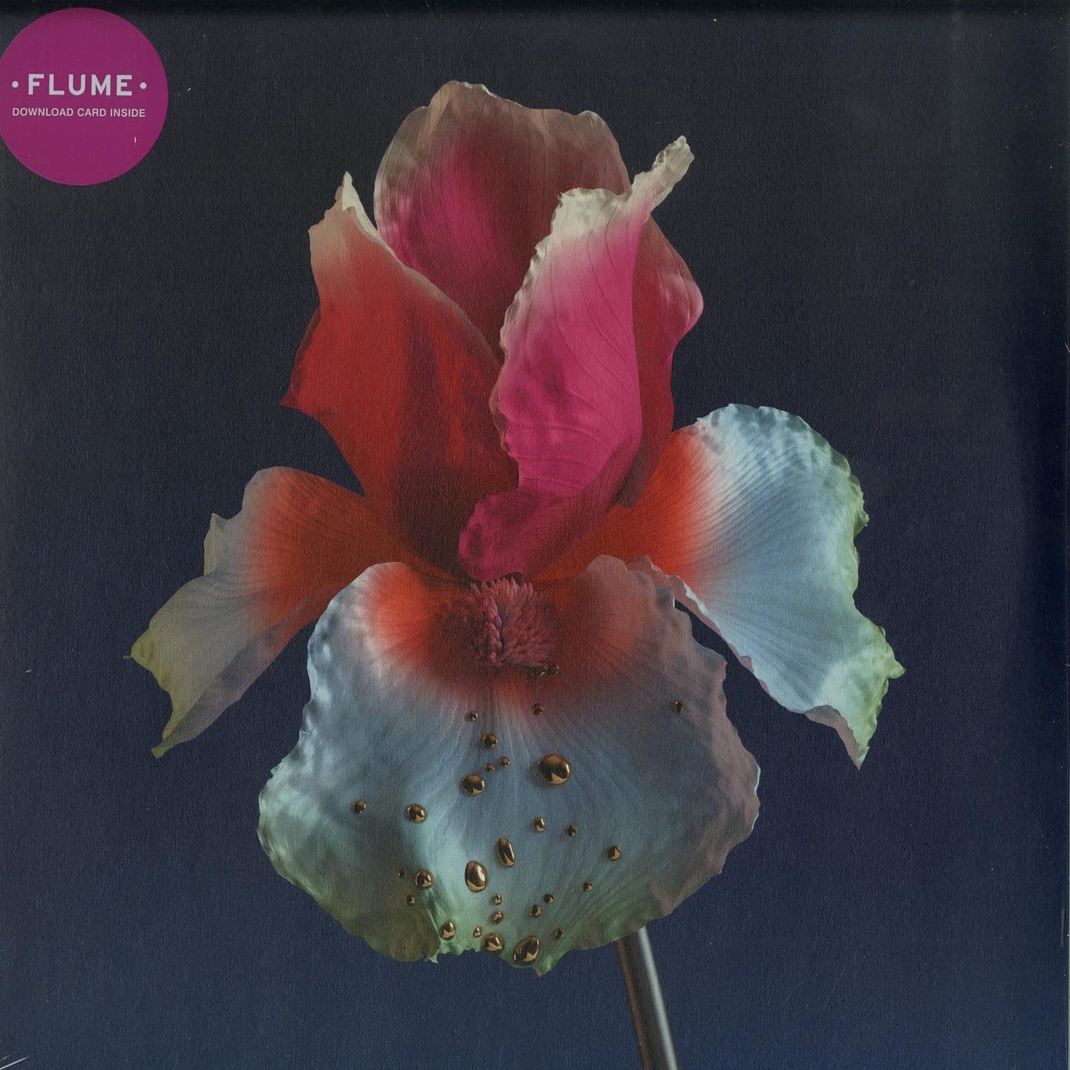 Flume - TINY CITIES / TAKE A CHANCE 