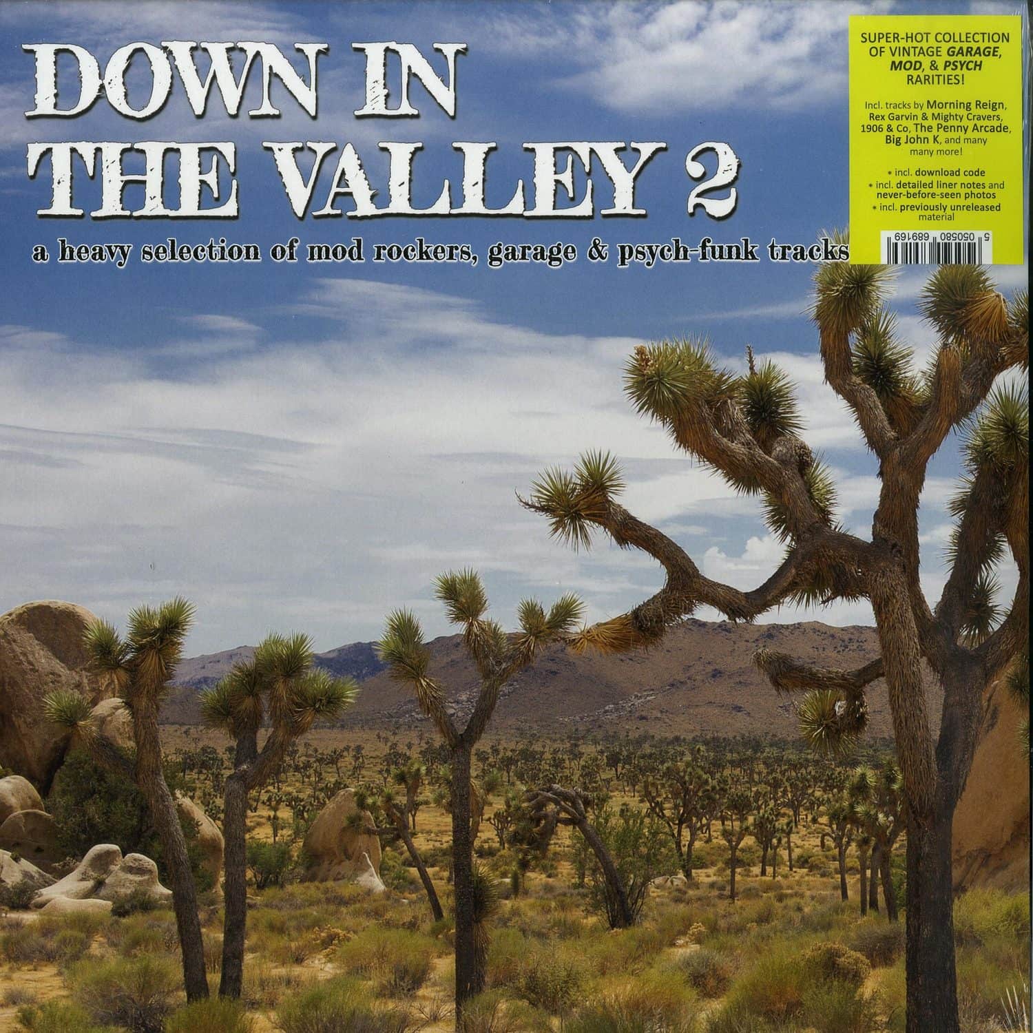 Various Artists - DOWN IN THE VALLEY 2 