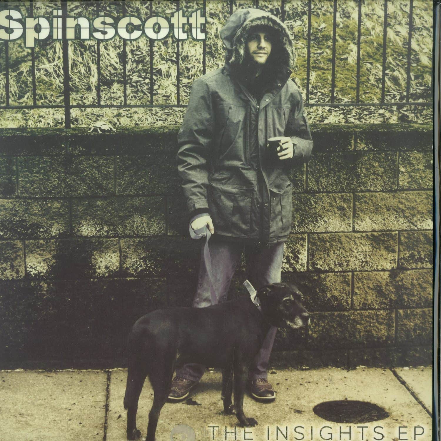 Spinscott - THE INSIGHTS