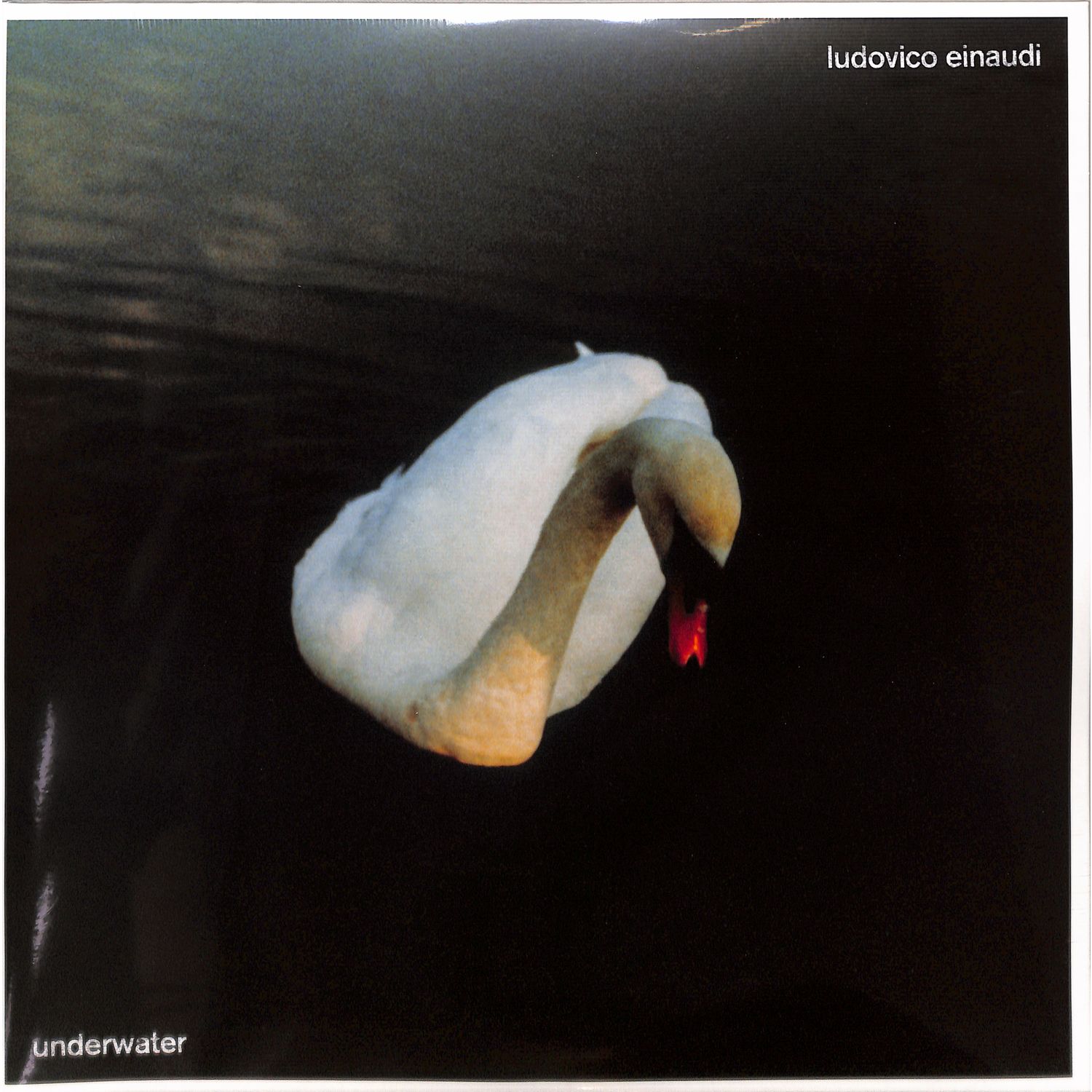 Ludovico Einaudi - UNDERWATER