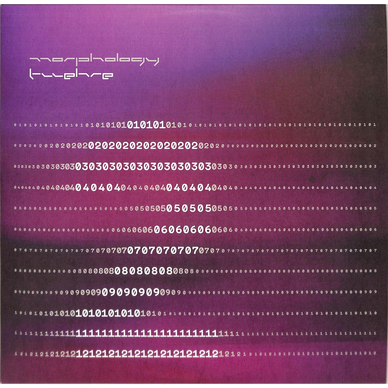 Morphology - TWELVE 2 