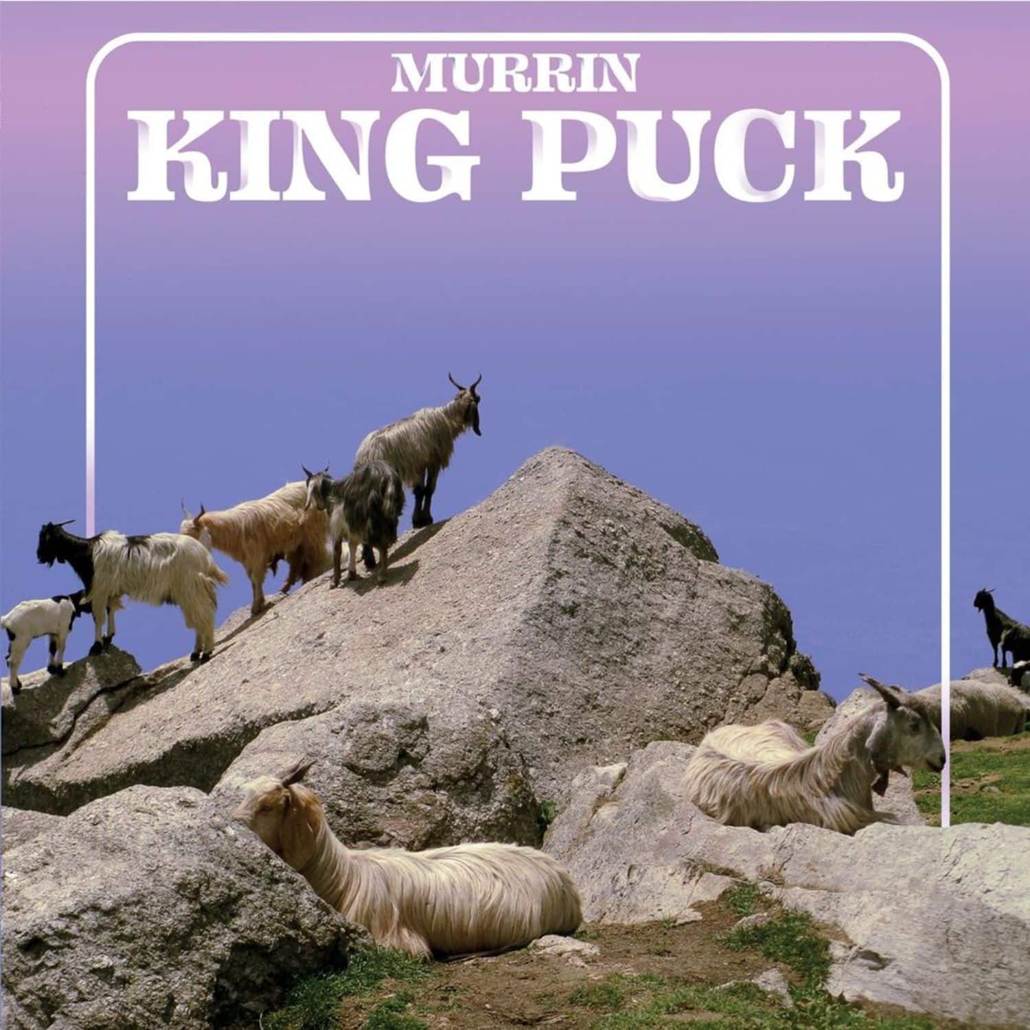 Murrin - KING PUCK