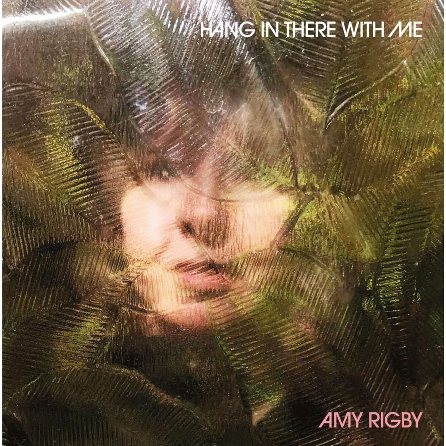 Amy Rigby - HANG IN THERE WITH ME 