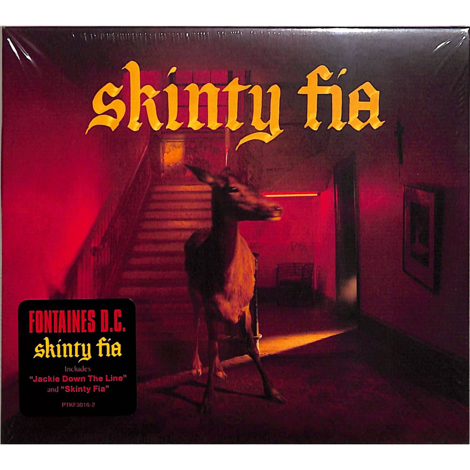 Fontaines D.C. - SKINTY FIA 