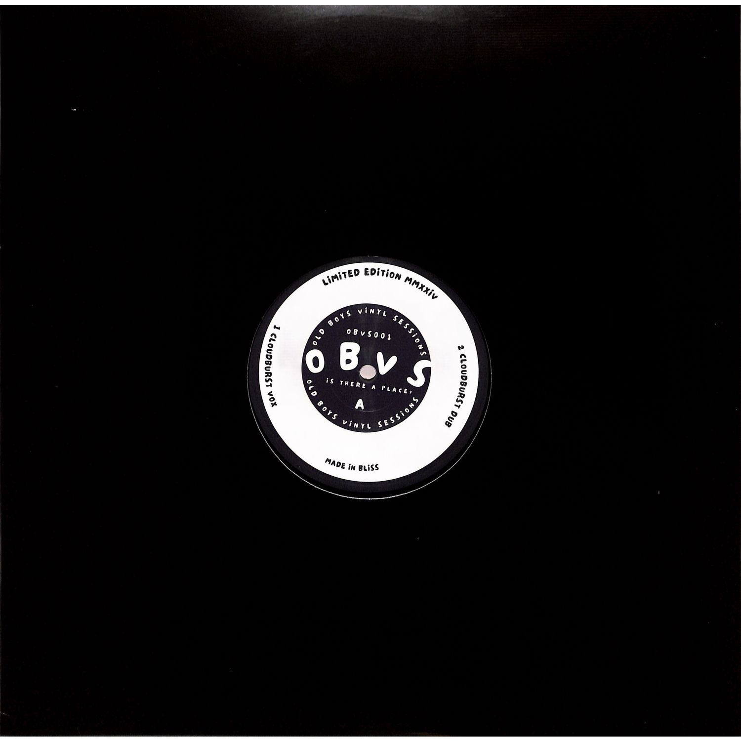 Old Boys Vinyl Sessions - IS THERE A PLACE?
