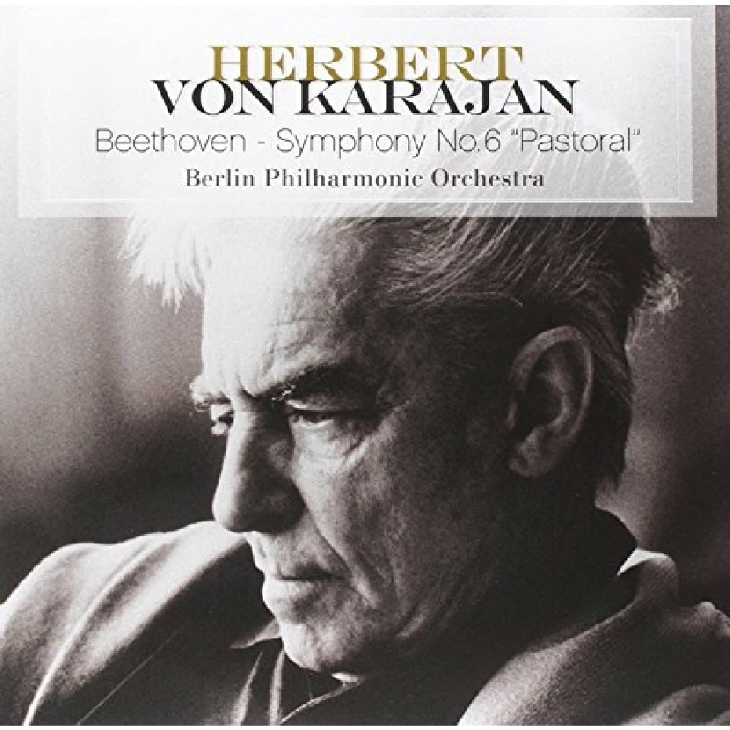 L. van Beethoven / Ludwig van Beethoven - SYMPHONY NO.6 PASTORAL 