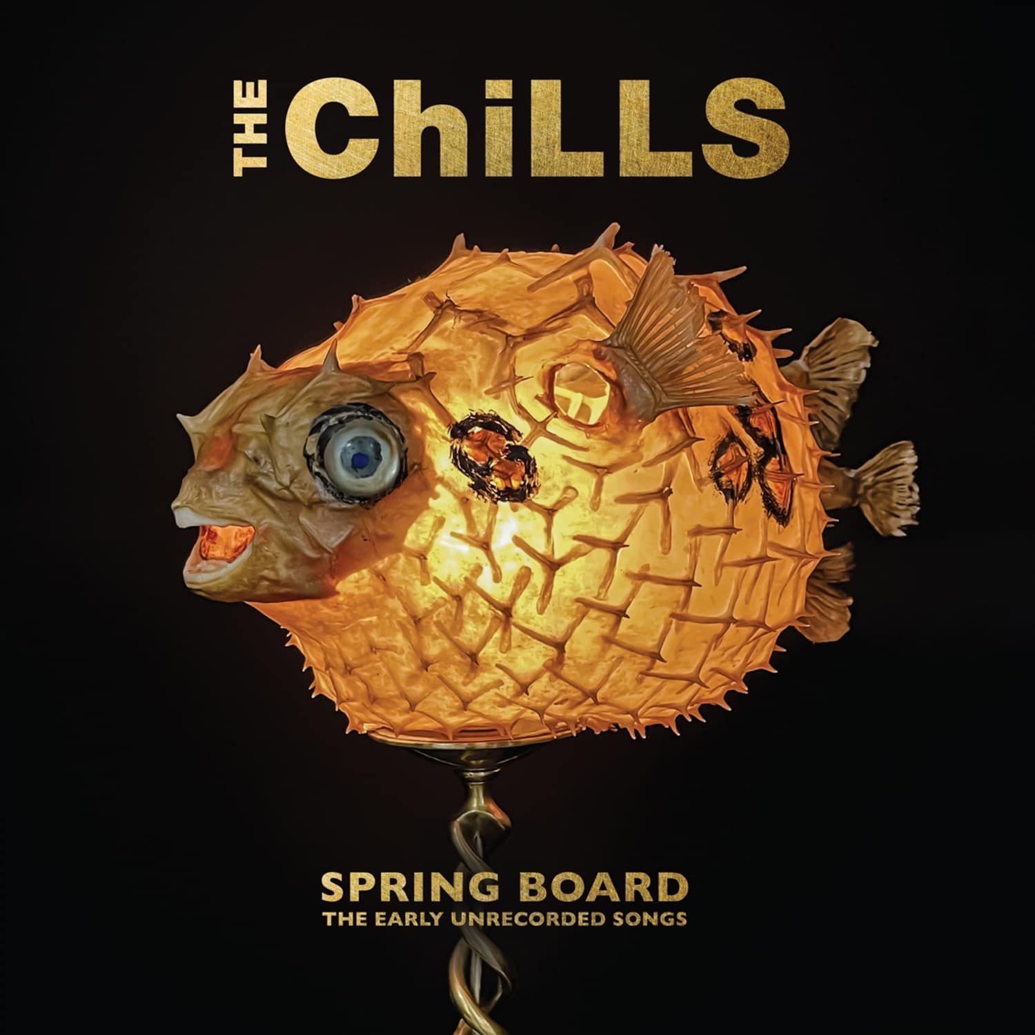 The Chills - SPRING BOARD: THE EARLY UNRECORDED SONGS 