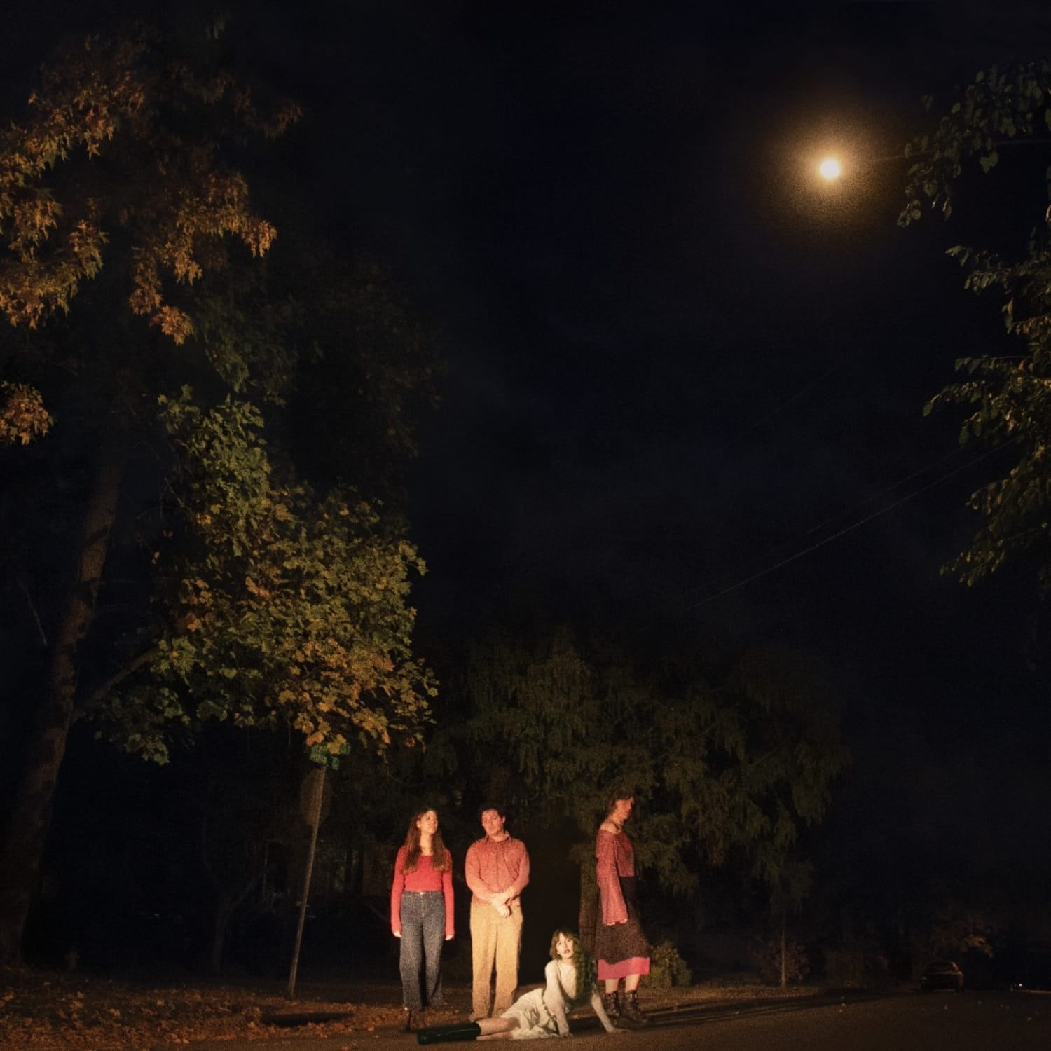 Ophelias - SPRING GROVE 