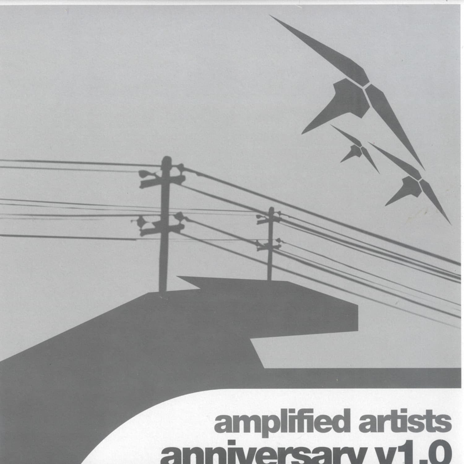 Amplified Artists - ANNIVERSARY 2X12