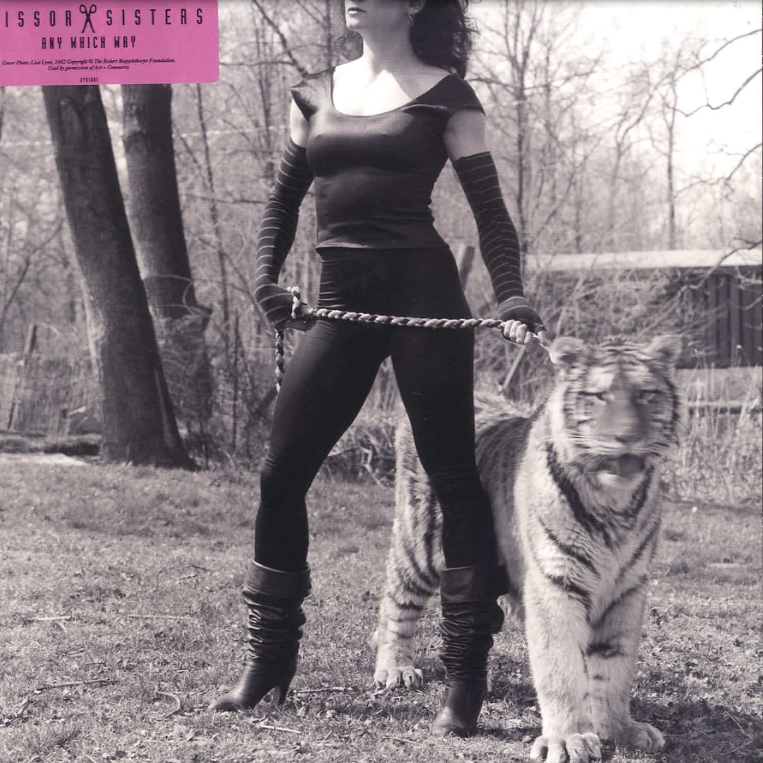 Scissor Sisters - ANY WHICH WAY