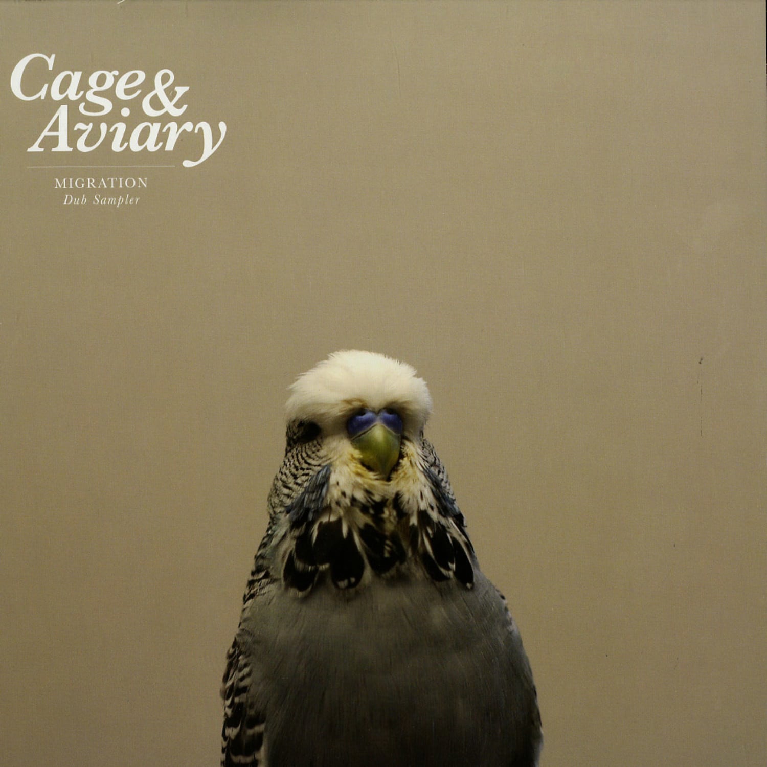 Cage & Aviary - MIGRATION - DUB SAMPLER