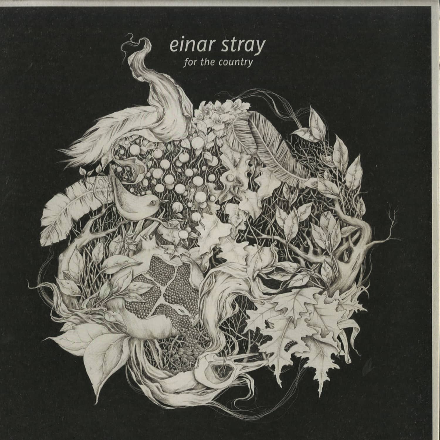 Einar Stray - FOR THE COUNTRY 