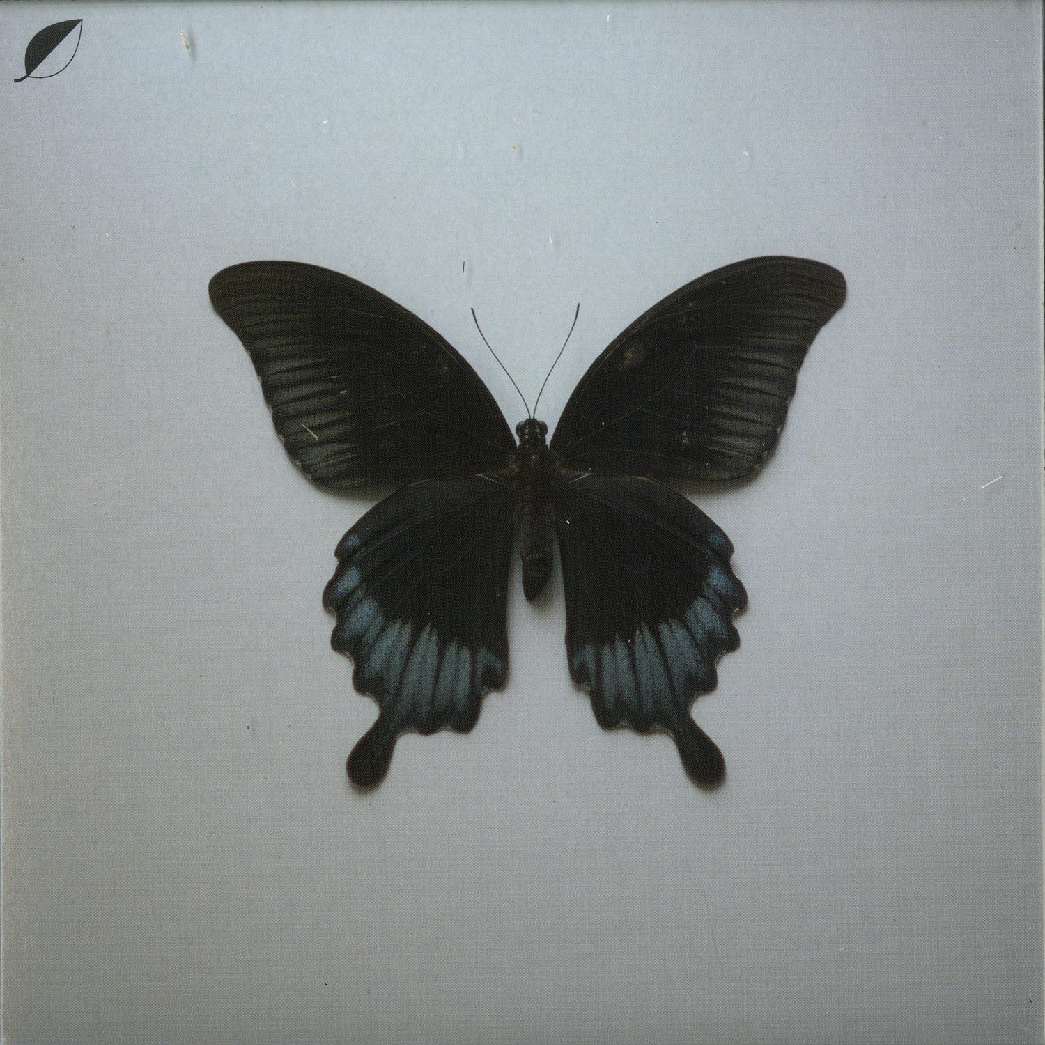 Christian Loeffler - ALL COMES / NOTES 