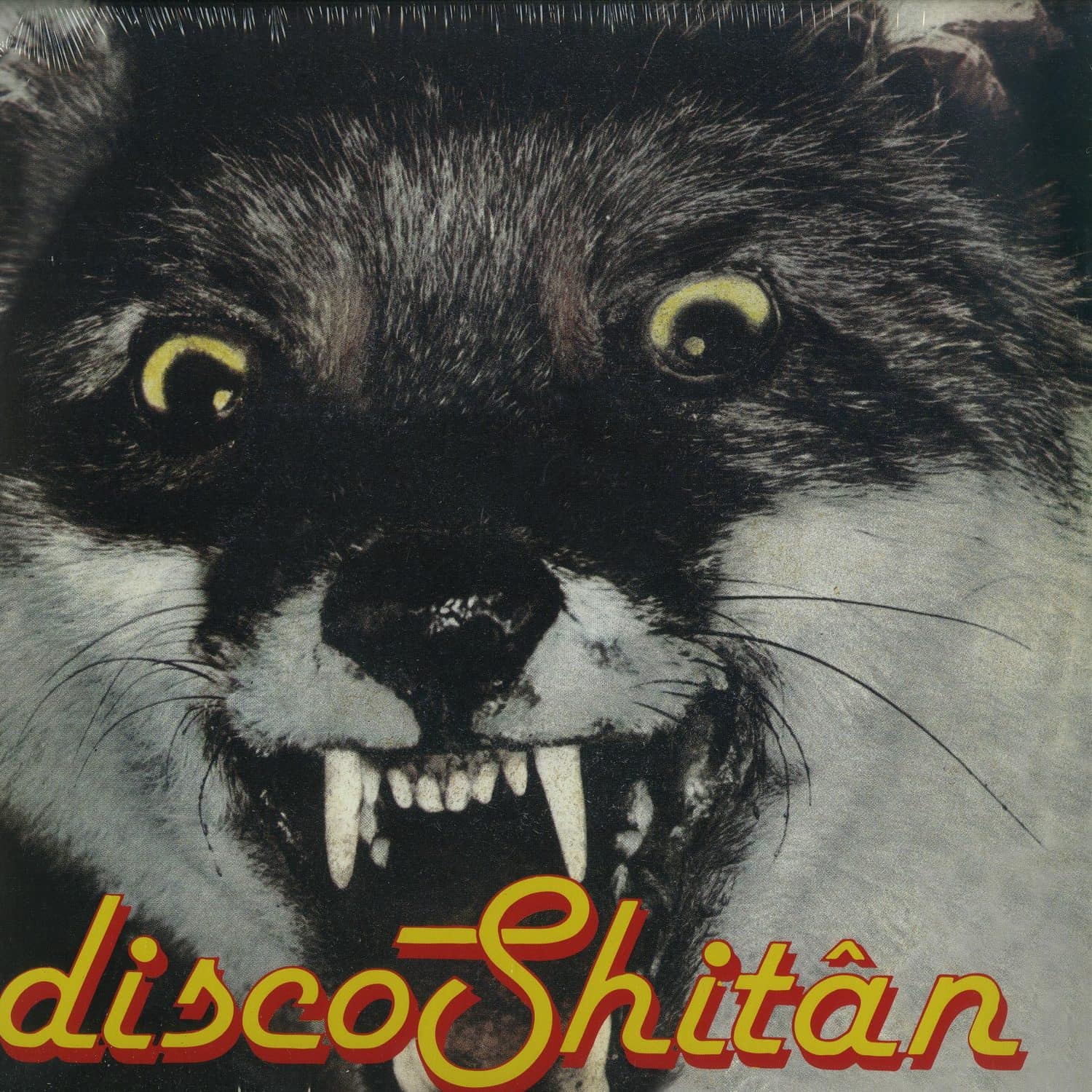 Shitan - DISCO SHITAN