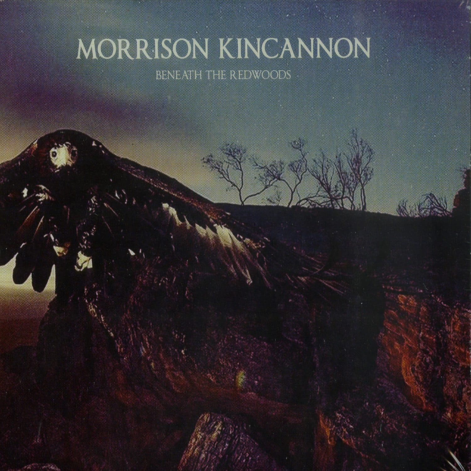 Morrison Kincannon - BENEATH THE REDWOODS 