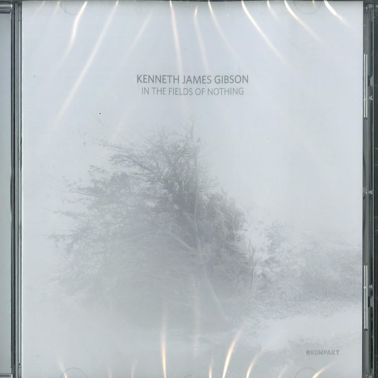 Kenneth James Gibson - IN THE FIELDS OF NOTHING 