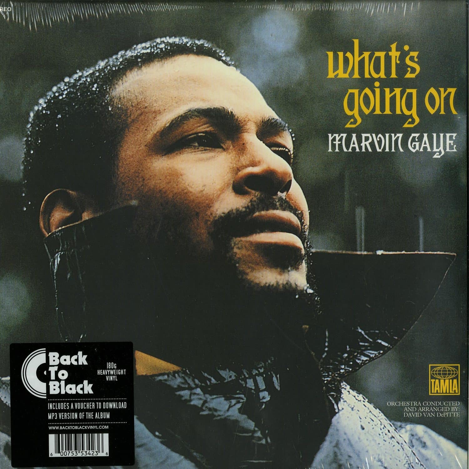 Marvin Gaye - WHATS GOING ON 