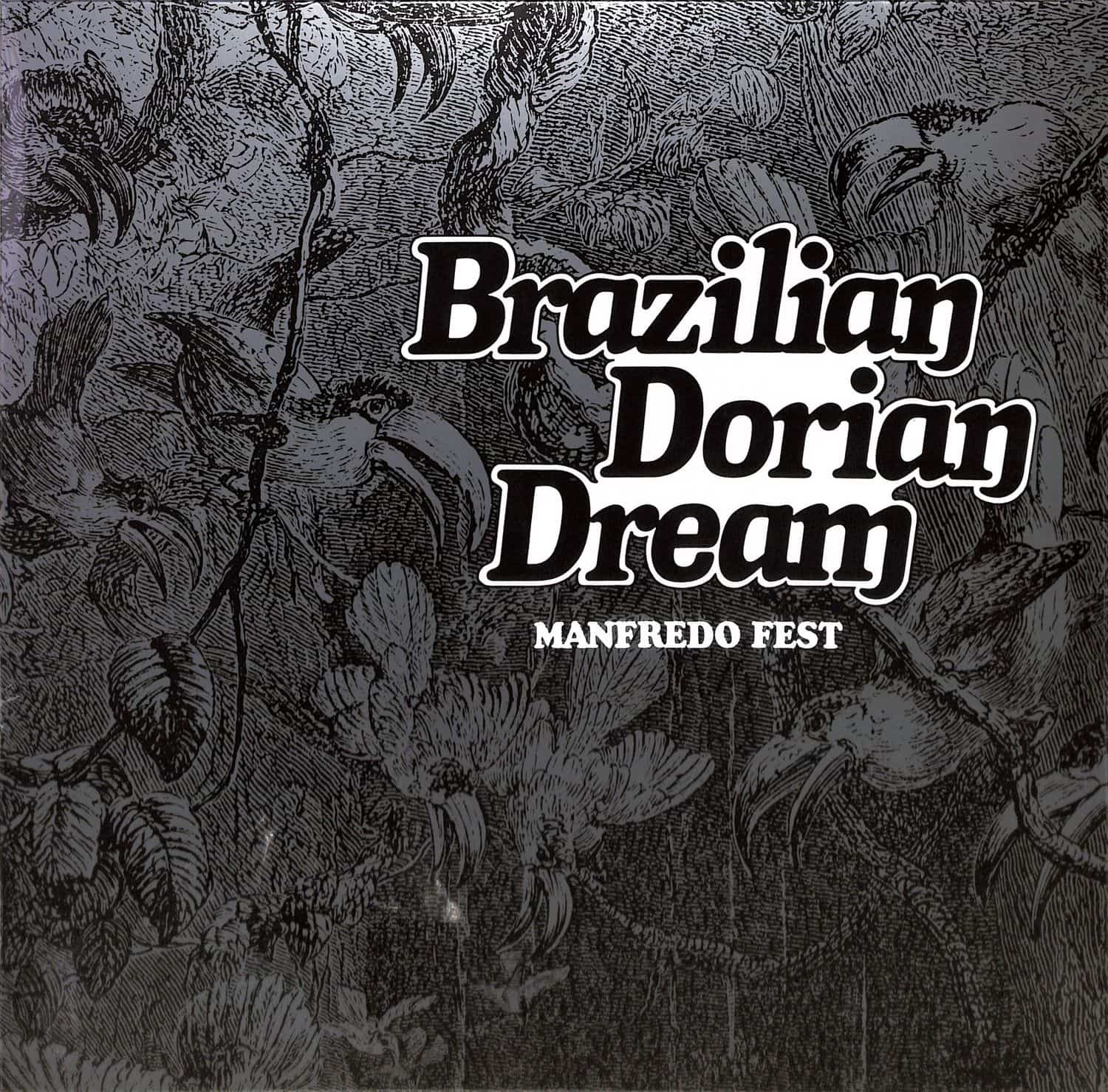 Manfredo Fest - BRAZILIAN DORIAN DREAM 