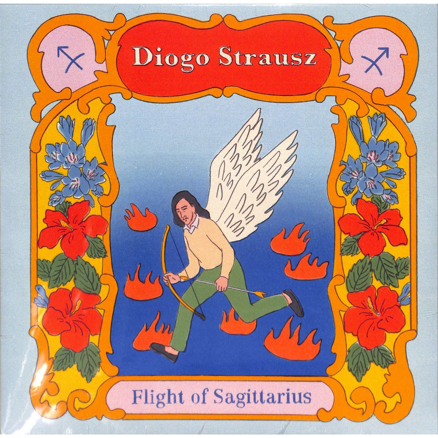 Diogo Strausz - FLIGHT OF SAGITTARIUS