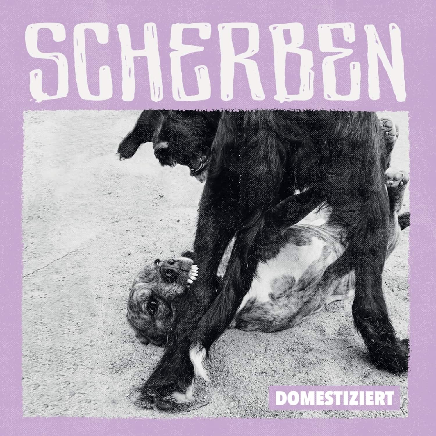 Scherben - DOMESTIZIERT 