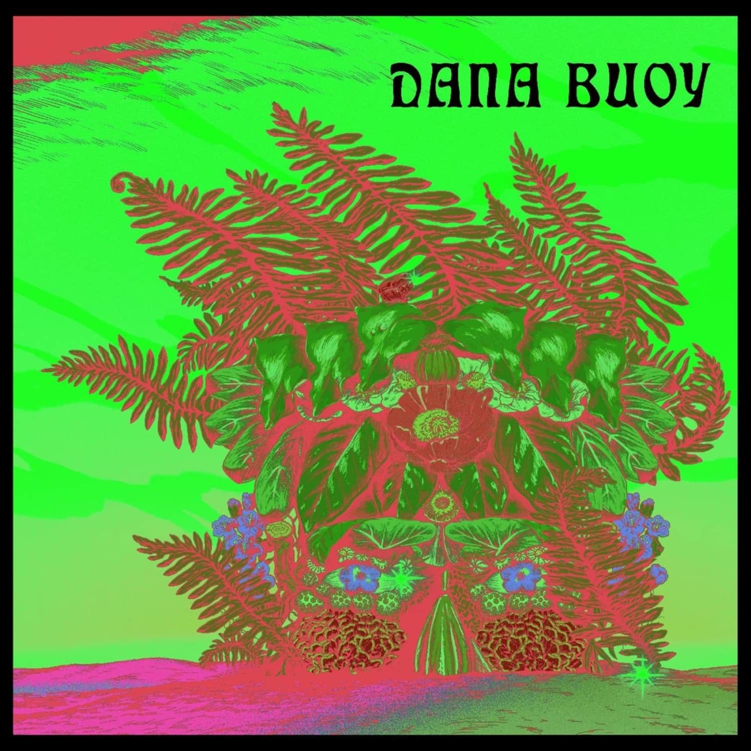 Dana Buoy - EXPERIMENTS IN PLANT BASED MUSIC VOL.1 