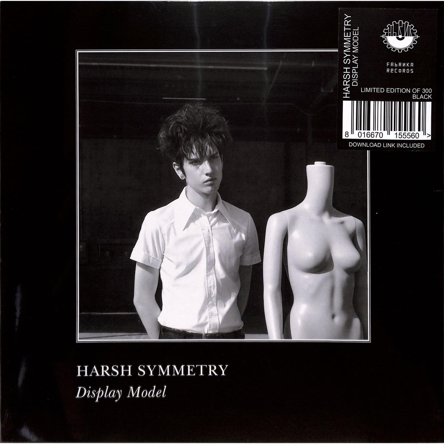 Harsh Symmetry - DISPLAY MODEL 