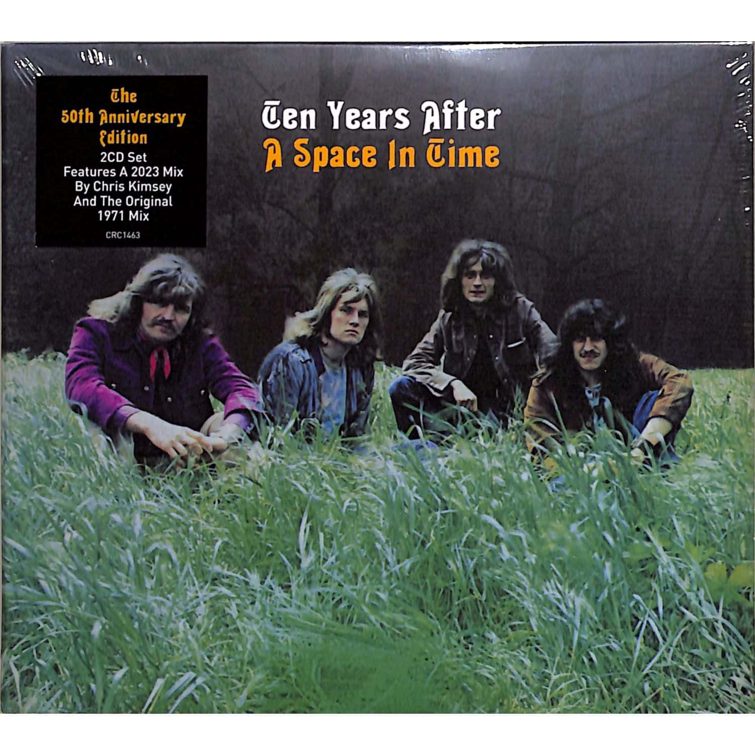 Ten Years After - A SPACE IN TIME 