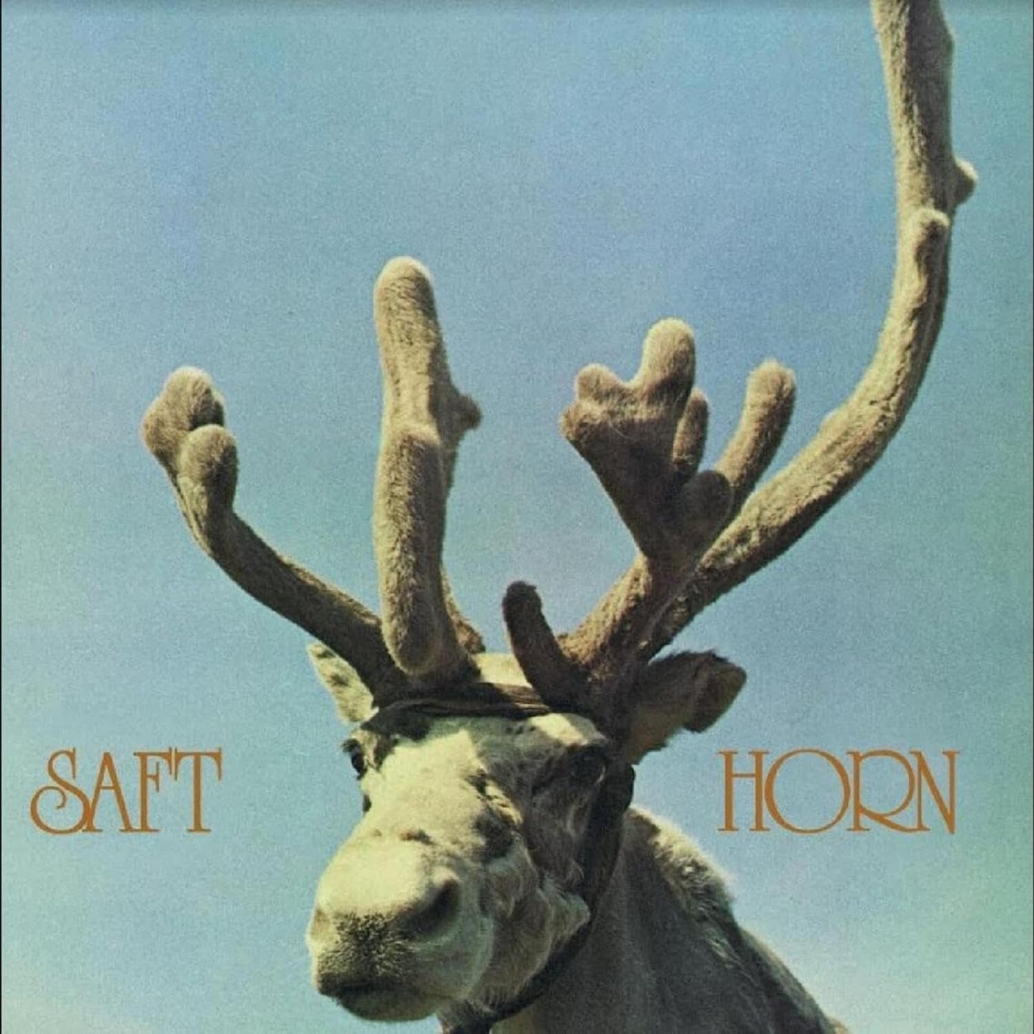 Saft - HORN 