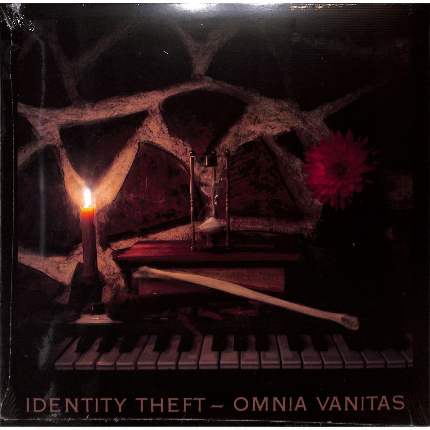 Identity Theft - OMNIA VITAS 