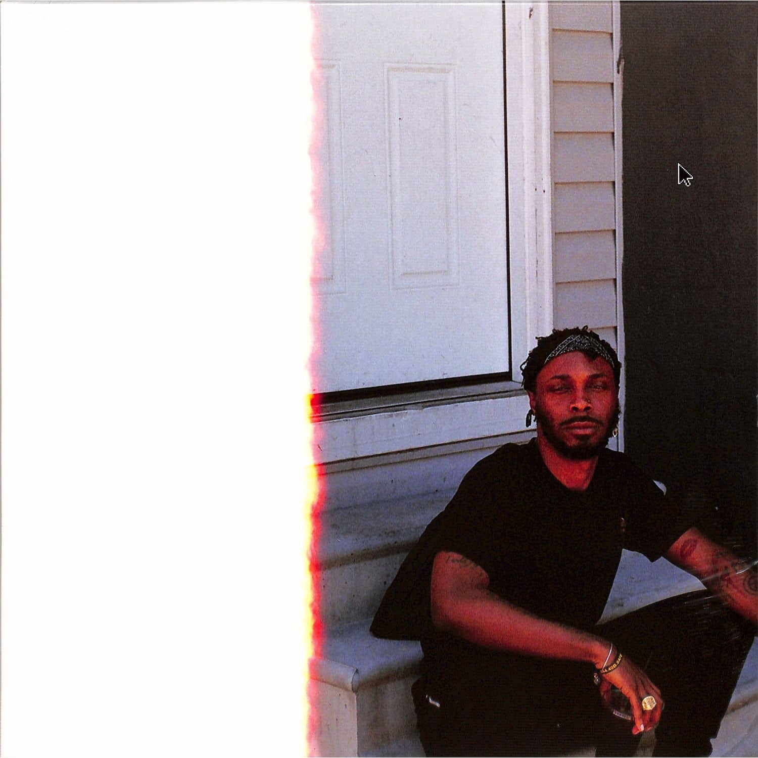 Jpegmafia - VETERAN 