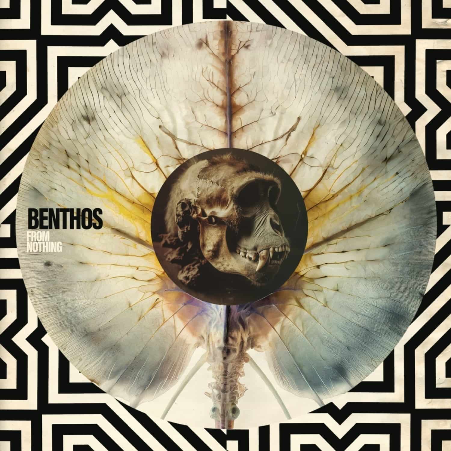 Benthos - FROM NOTHING 