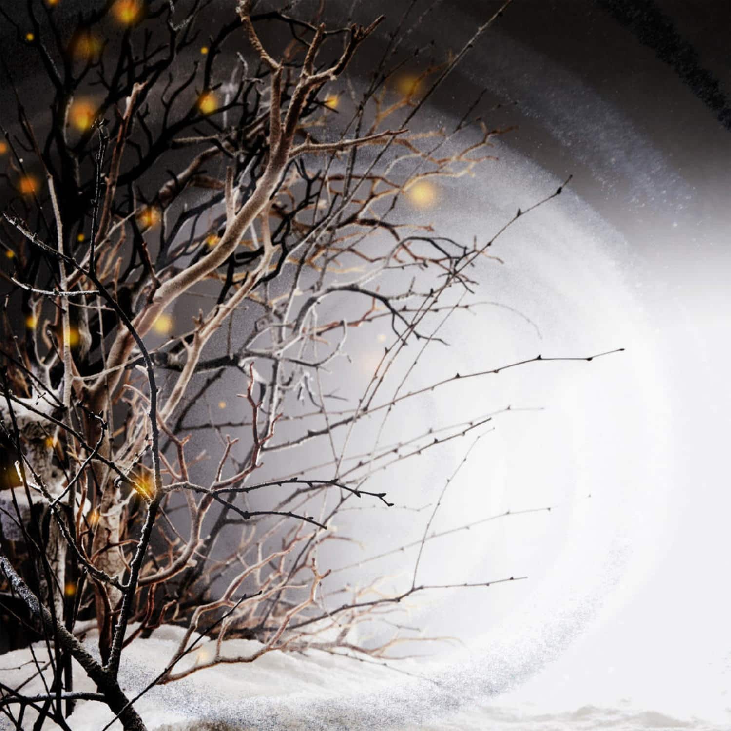 Winterlight - WINTERLIGHT LP