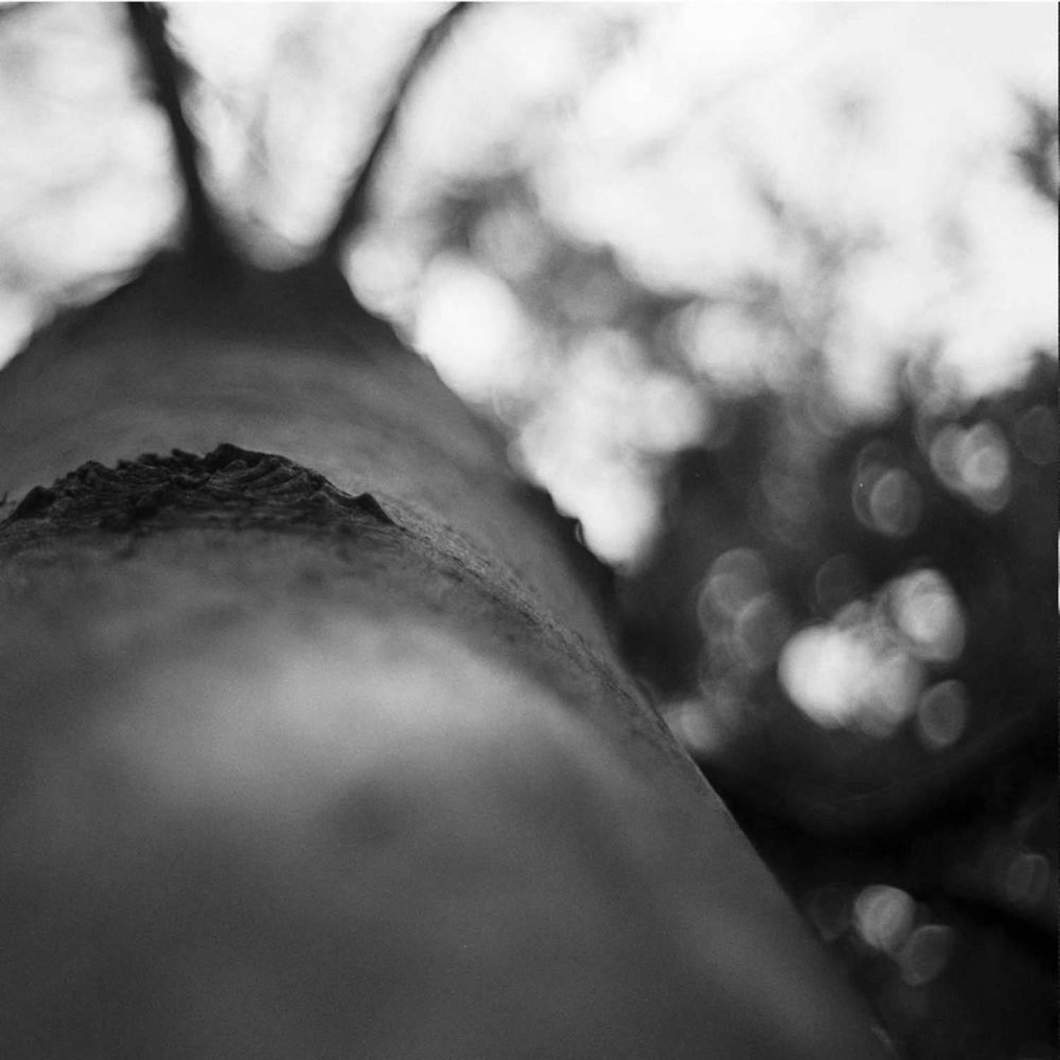 KNOWONE - KNWN7.5 