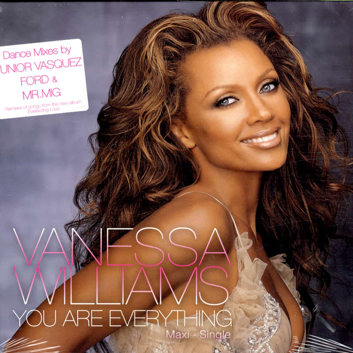 Vanessa Williams - YOU ARE EVERYTHING REMIX