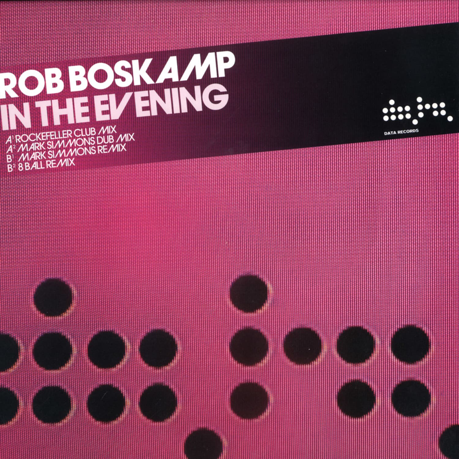 Rob Boskamp - IN THE EVENING