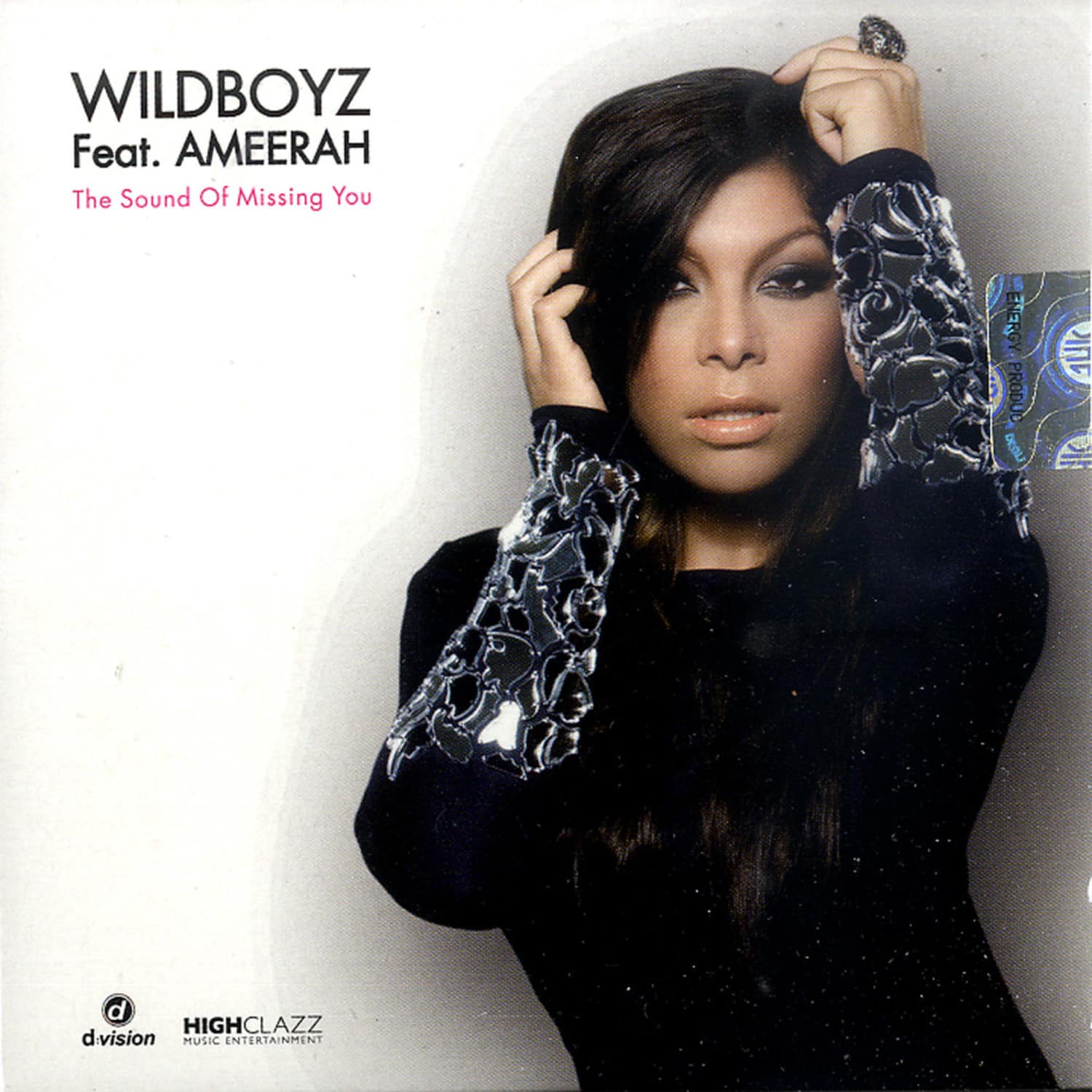Wildboyz feat Ameerah - THE SOUND OF MISSING YOU 