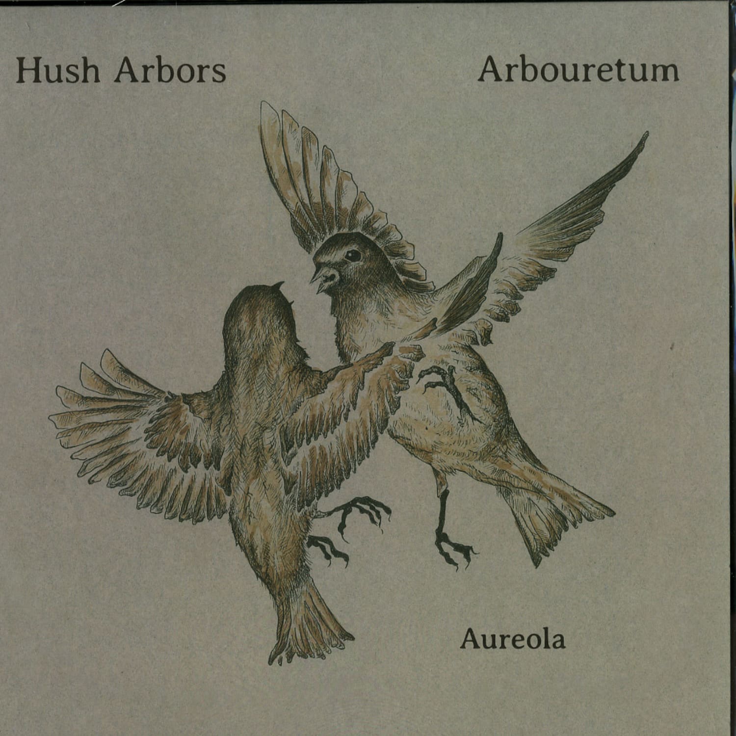 Hush Arbors / Arbouretum - AUREOLA 
