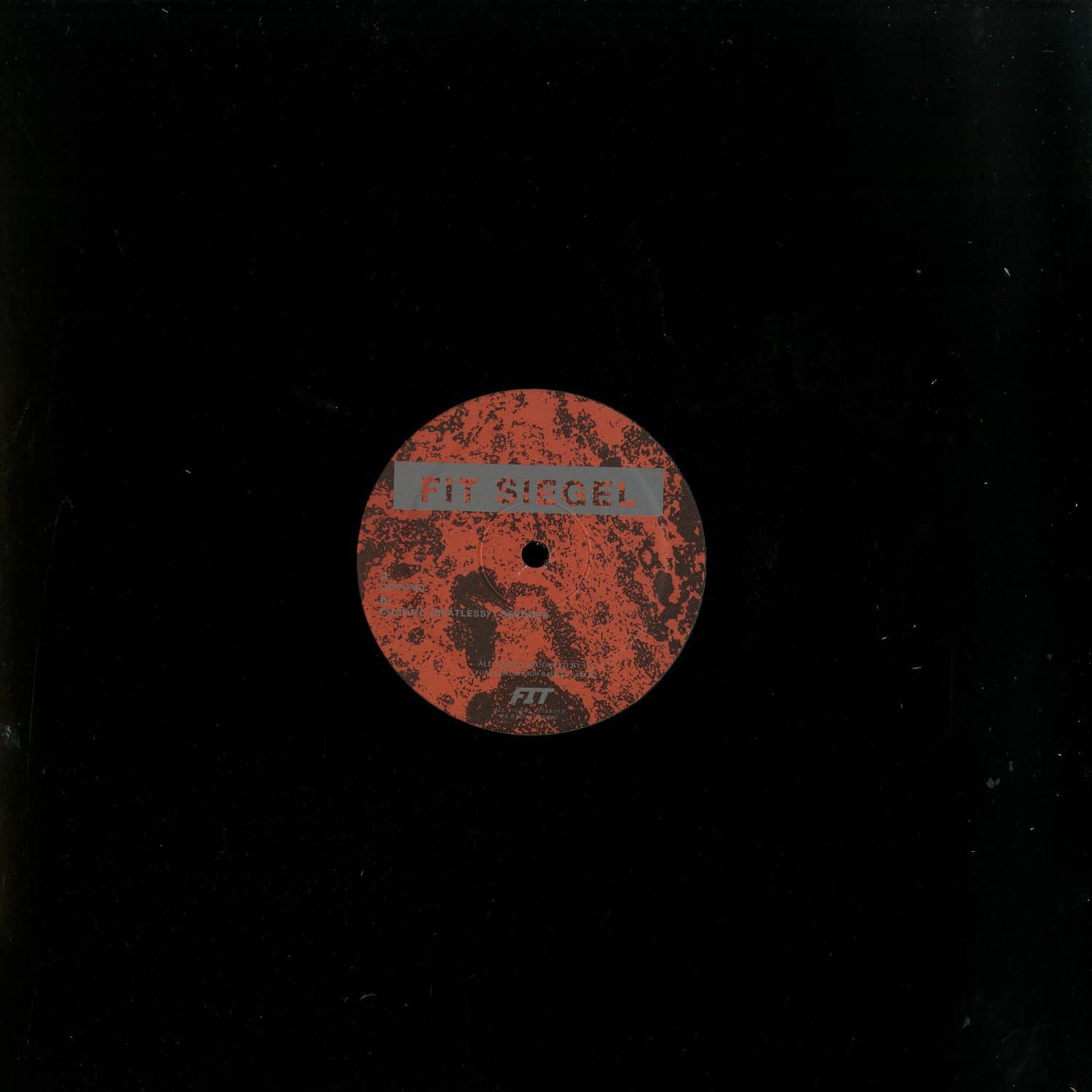 Fit Siegel - COCOMO/ SEEDBED