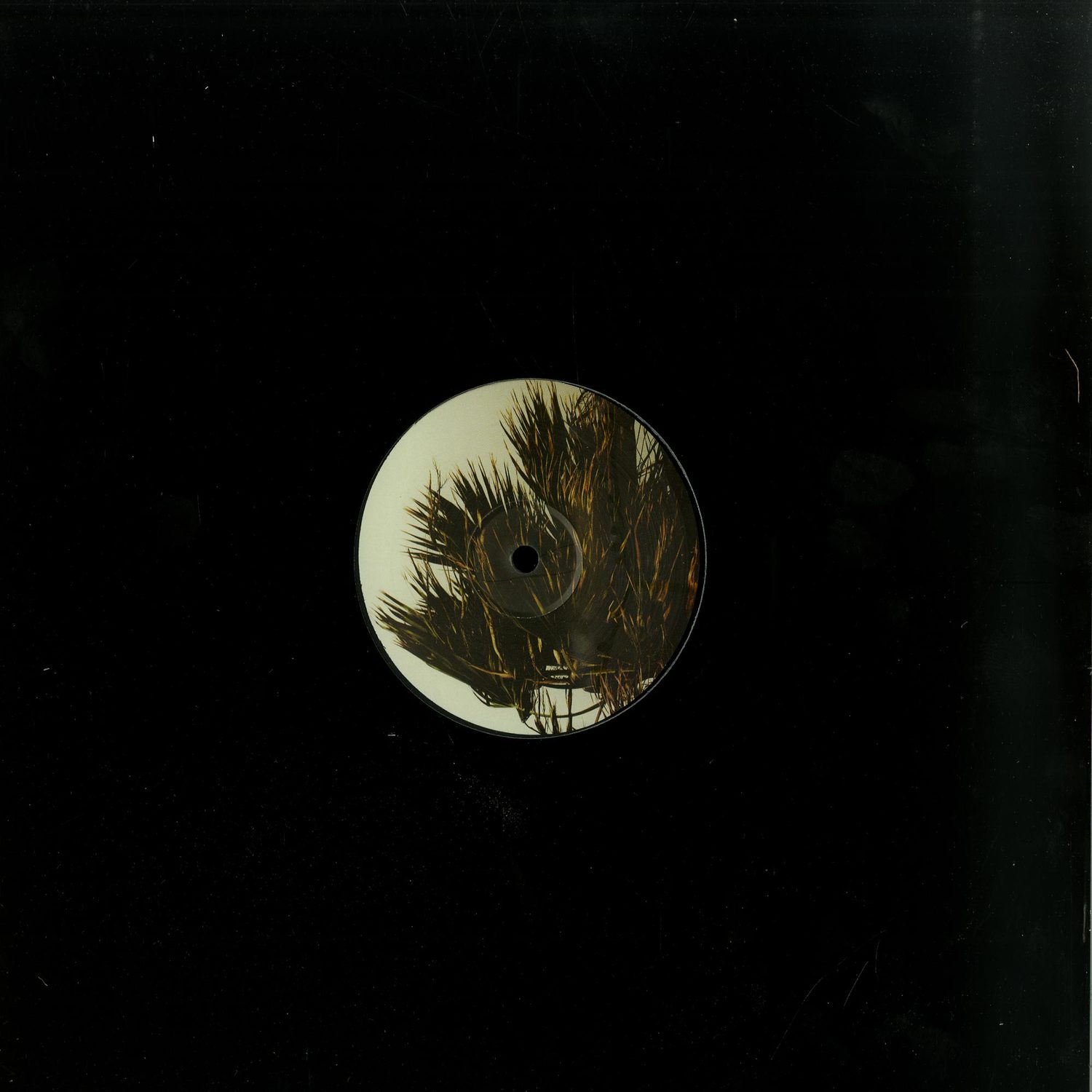 Acasual / Tominori Hosoya / Kiddmisha / Apoena / Jonno & Tommo - BREEZE EP