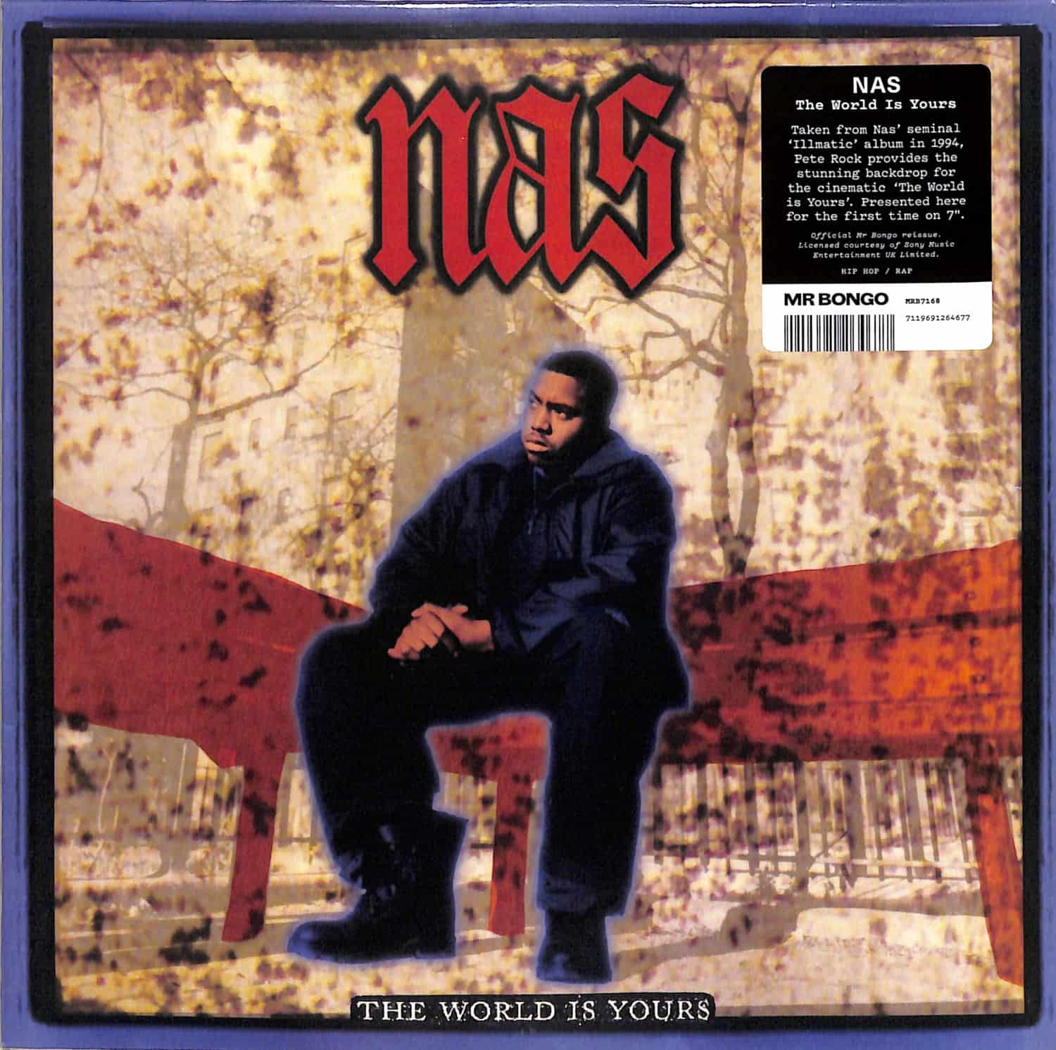 NAS - THE WORLD IS YOURS 