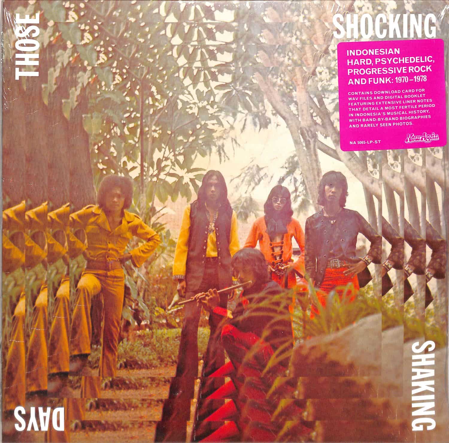 Various Artists - THOSE SHOCKING, SHAKING DAYS 