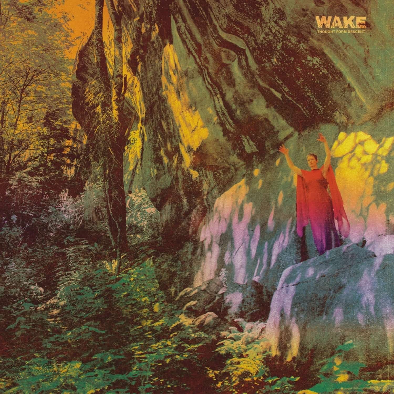 Wake - THOUGHT FORM DESCENT 