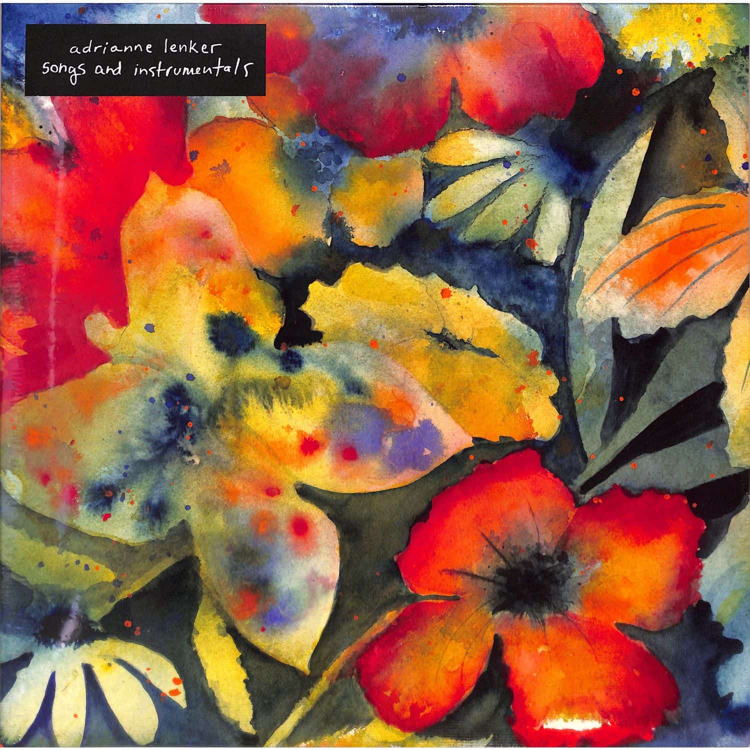 Adrianne Lenker - SONGS AND INSTRUMENTALS 