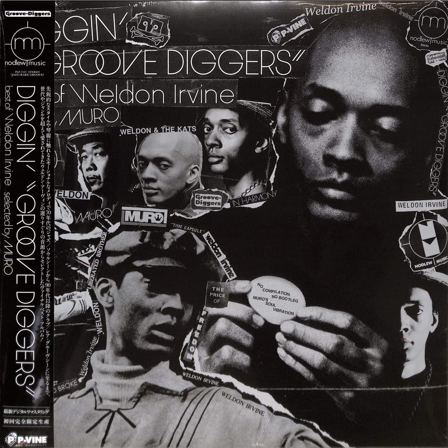 Weldon Irvine - DIGGIN GROOVE DIGGERS - BEST OF WELDON IRVINE SELECTED BY MURO 