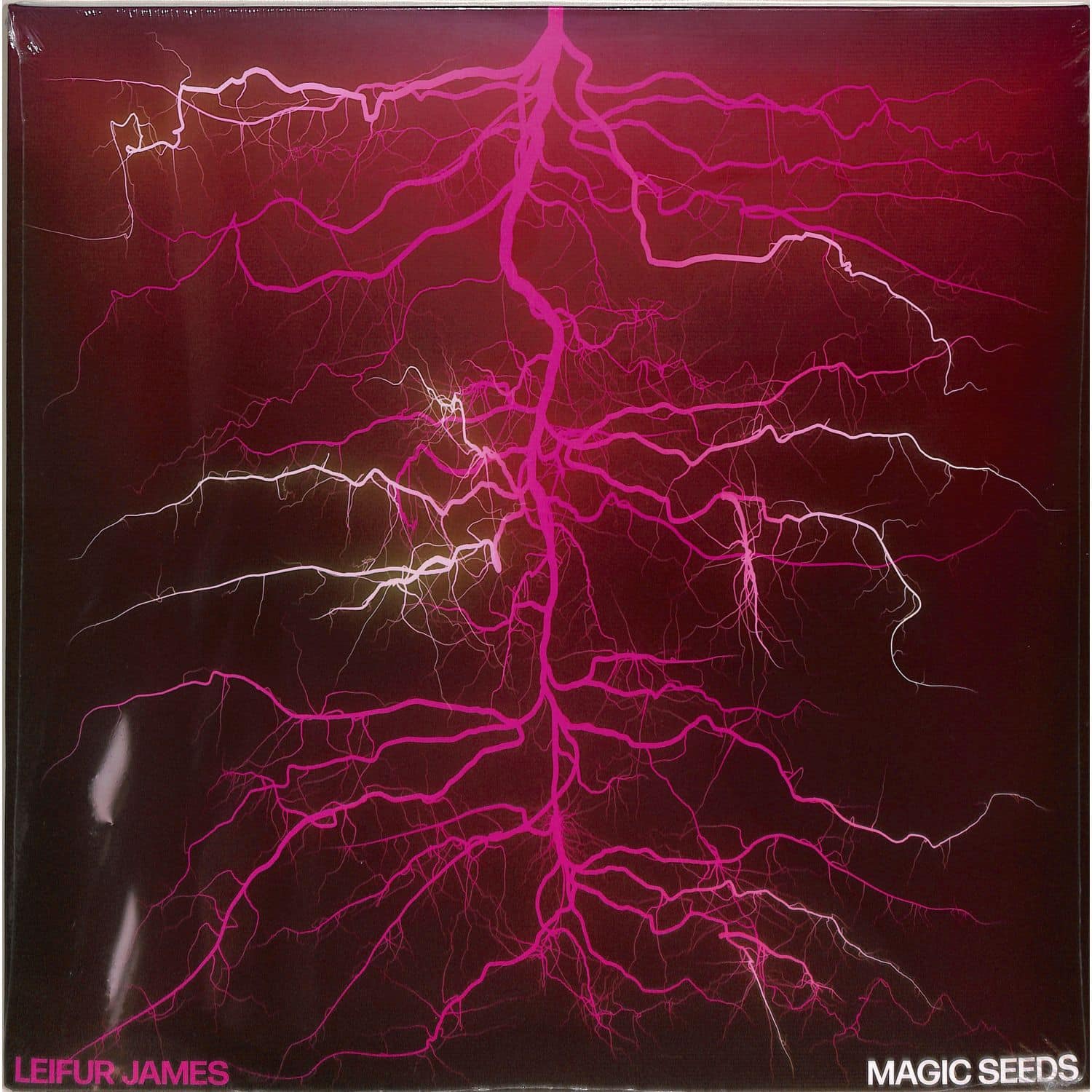 Leifur James - MAGIC SEEDS 