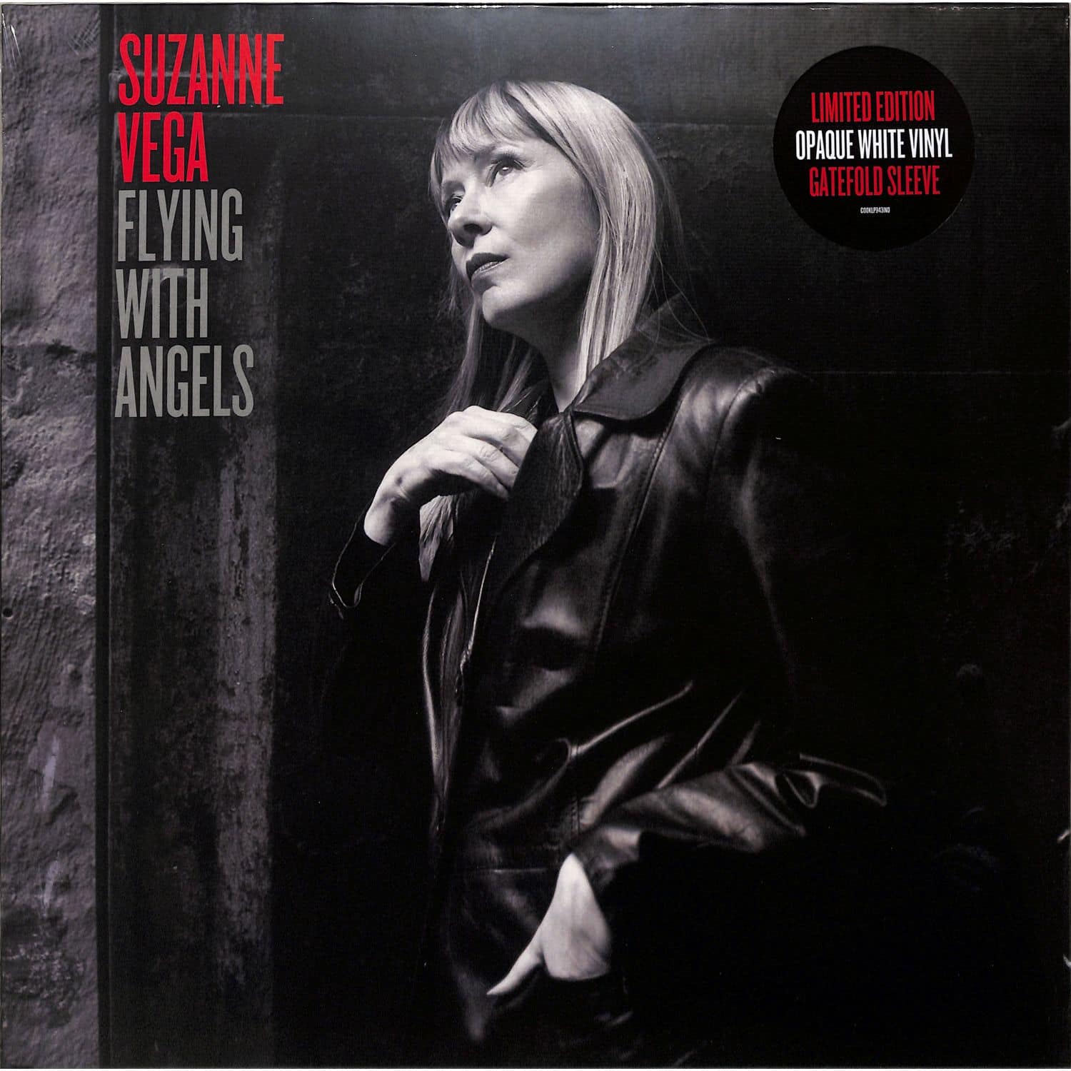 Suzanne Vega - FLYING WITH ANGELS 