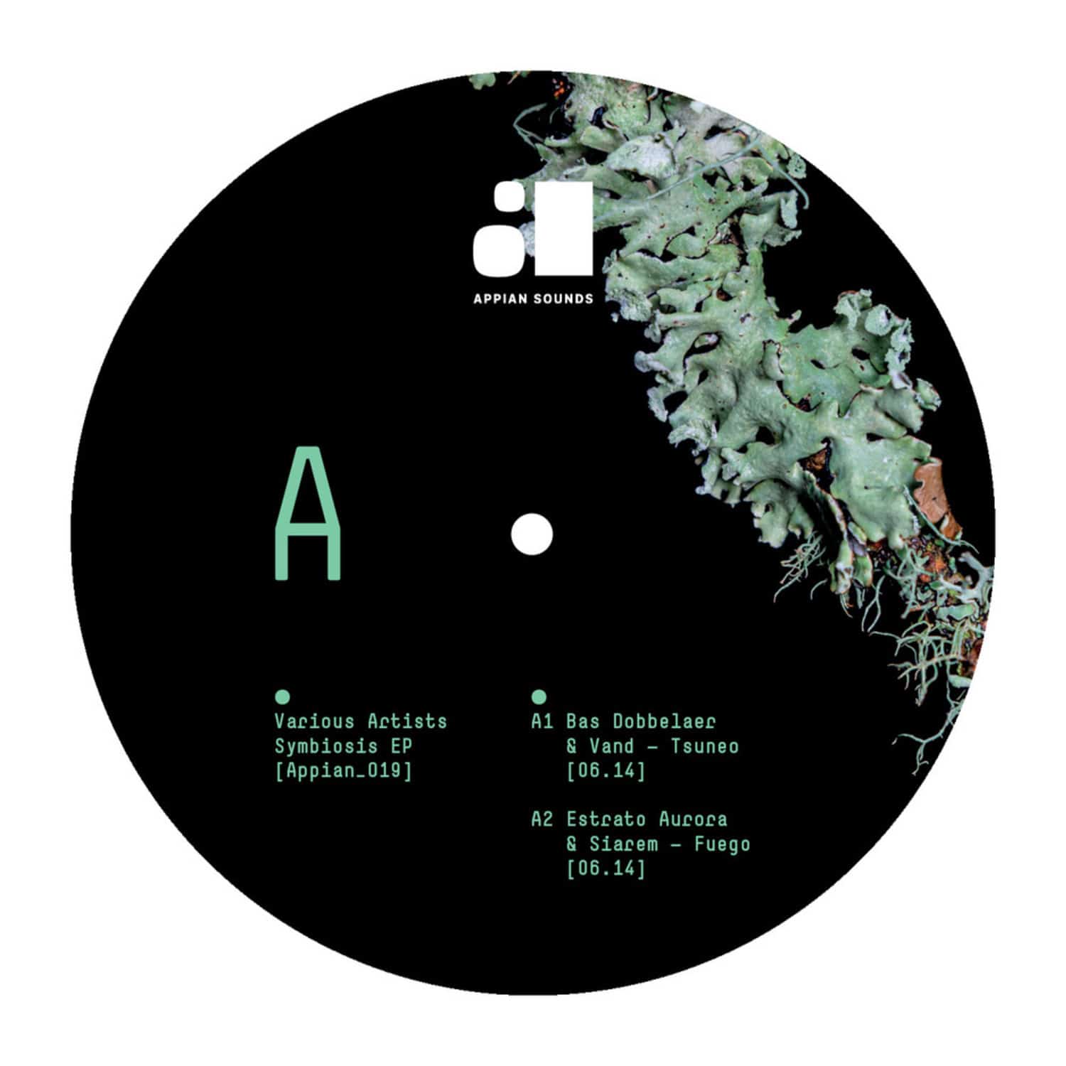 Various Artists - SYMBIOSIS