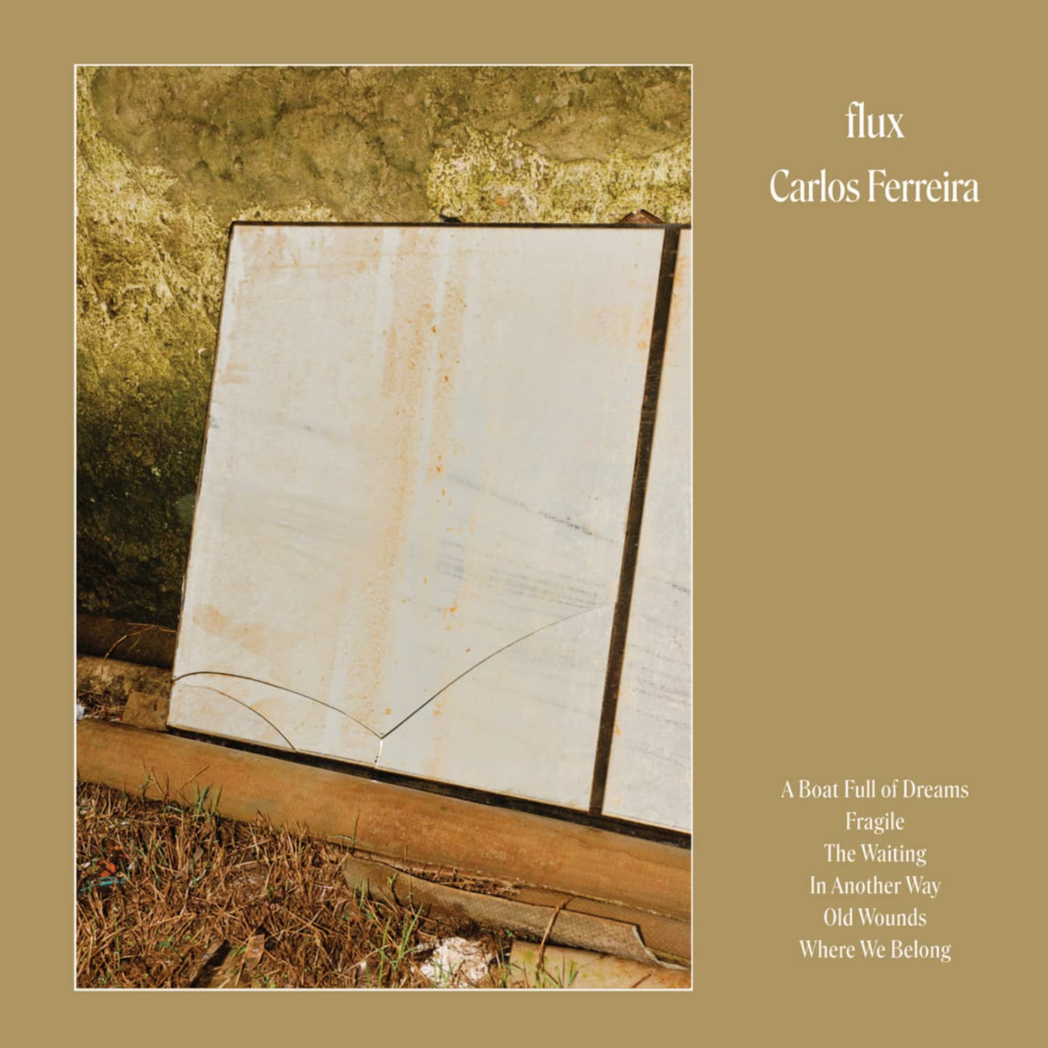 Carlos Ferreira - FLUX 